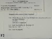 登錄號:F0023676藏品圖，第2張