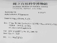 登錄號:F0023677藏品圖，第2張