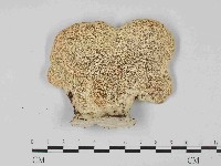 登錄號:F0023677藏品圖，第1張