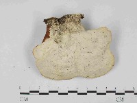 登錄號:F0023677藏品圖，第3張