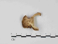 登錄號:F0023679藏品圖，第3張