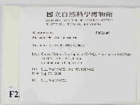 毛木耳藏品圖，第2張