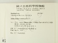 裂褶菌藏品圖，第2張