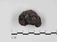 登錄號:F0023683藏品圖，第1張