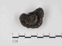 登錄號:F0023683藏品圖，第3張