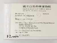 登錄號:F0023684藏品圖，第2張