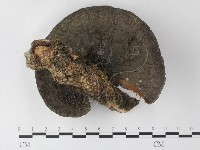 登錄號:F0023684藏品圖，第3張