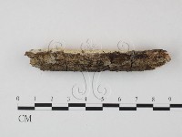 登錄號:F0023686藏品圖，第3張