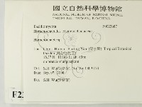 刺革菌屬藏品圖，第2張