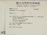 登錄號:F0023688藏品圖，第2張