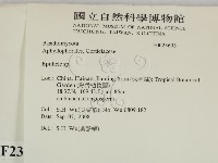 登錄號:F0023693藏品圖，第2張