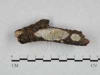 登錄號:F0023693藏品圖，第1張