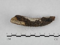 登錄號:F0023693藏品圖，第3張