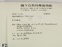 登錄號:F0023694藏品圖，第2張