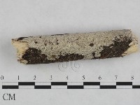 登錄號:F0023694藏品圖，第1張
