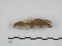 登錄號:F0023695藏品圖，第3張