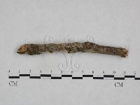 登錄號:F0023696藏品圖，第1張