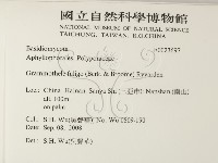 登錄號:F0023697藏品圖，第2張