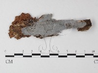 登錄號:F0023697藏品圖，第1張