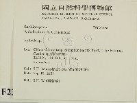 登錄號:F0023698藏品圖，第2張