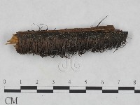 登錄號:F0023698藏品圖，第1張