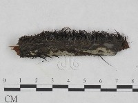 登錄號:F0023698藏品圖，第3張