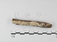 登錄號:F0023700藏品圖，第4張