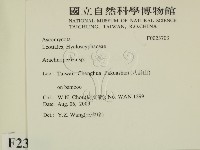 登錄號:F0023703藏品圖，第2張