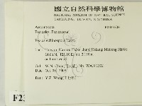 登錄號:F0023706藏品圖，第2張