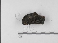 登錄號:F0023707藏品圖，第1張