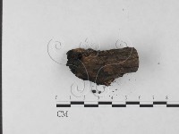 登錄號:F0023707藏品圖，第3張