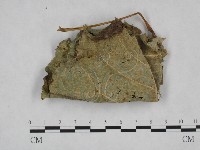 登錄號:F0023708藏品圖，第3張