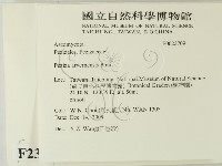 登錄號:F0023709藏品圖，第2張
