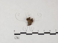 登錄號:F0023709藏品圖，第1張