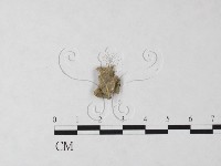 登錄號:F0023709藏品圖，第3張