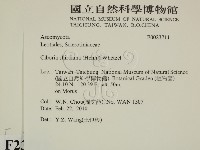 登錄號:F0023711藏品圖，第2張