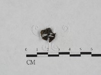 登錄號:F0023711藏品圖，第1張