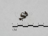 登錄號:F0023711藏品圖，第3張