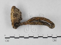 登錄號:F0023712藏品圖，第1張