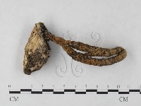 登錄號:F0023712藏品圖，第3張