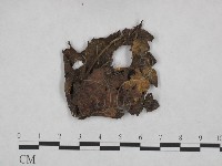 登錄號:F0023714藏品圖，第3張