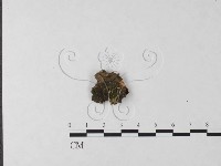 登錄號:F0023715藏品圖，第1張