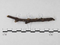 登錄號:F0023716藏品圖，第3張
