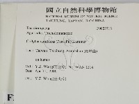 登錄號:F0023718藏品圖，第2張