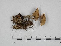 登錄號:F0023718藏品圖，第3張