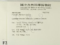 登錄號:F0023719藏品圖，第2張