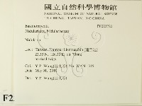 登錄號:F0023720藏品圖，第2張