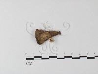 登錄號:F0023720藏品圖，第1張