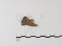 登錄號:F0023720藏品圖，第3張