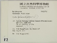 登錄號:F0023721藏品圖，第2張